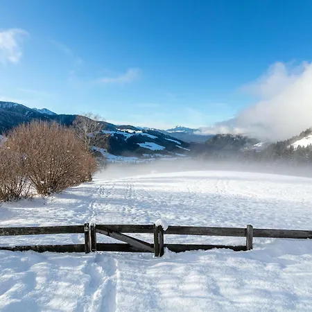 Holiday home Huette Zum Dillental Wildschoenau