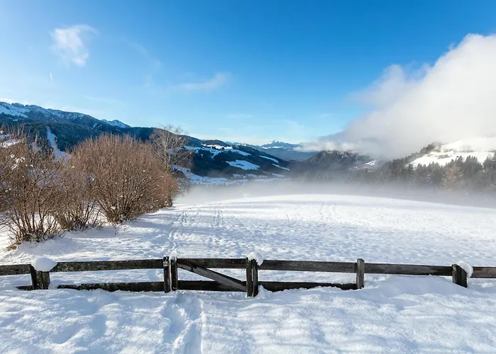 Tatil Evi Huette Zum Dillental Wildschoenau